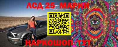 СК Моздок